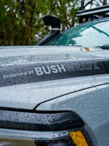 pick up truck | dodge ram ute | paint protection film clear | bushwrapz